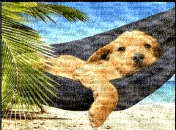 Autónomo descansando en una hamaca como un perro.