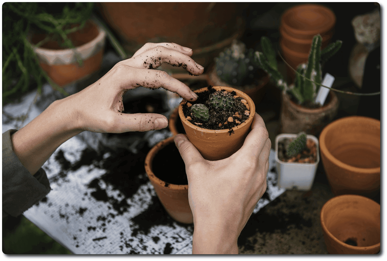 centros de educacion ambiental programa educativo