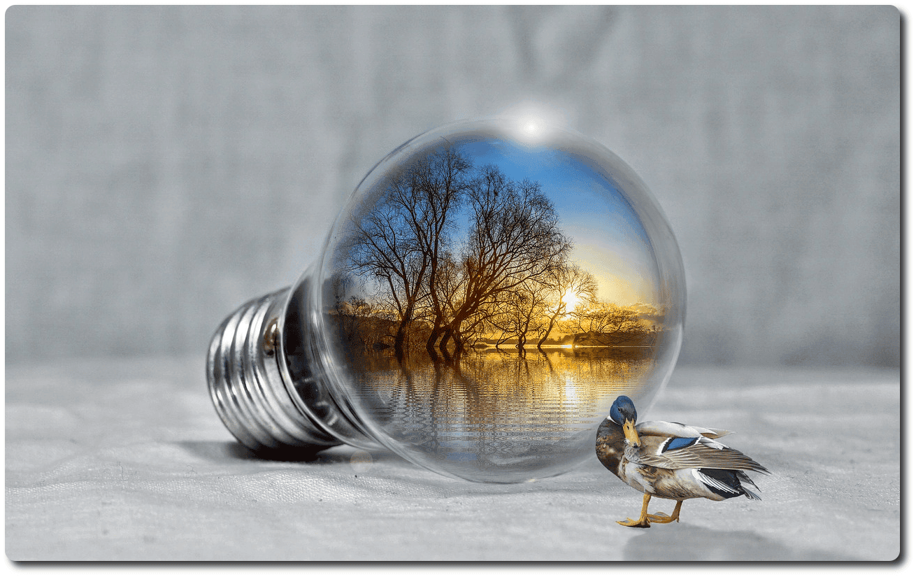 centros de educacion ambiental