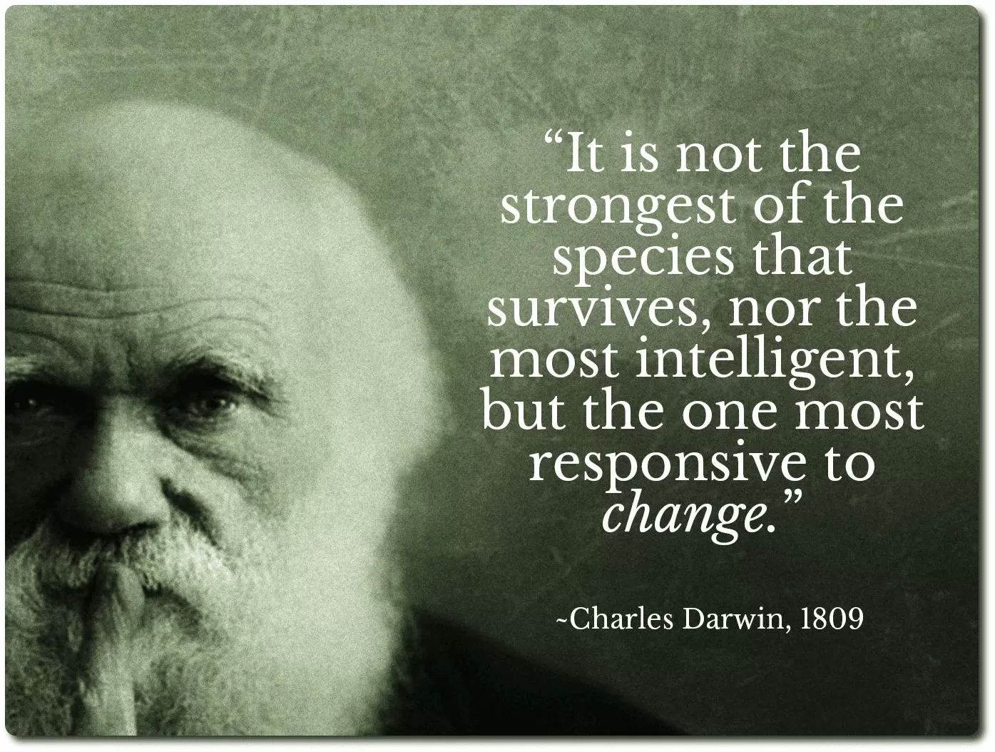 Charles Darwin Evolución