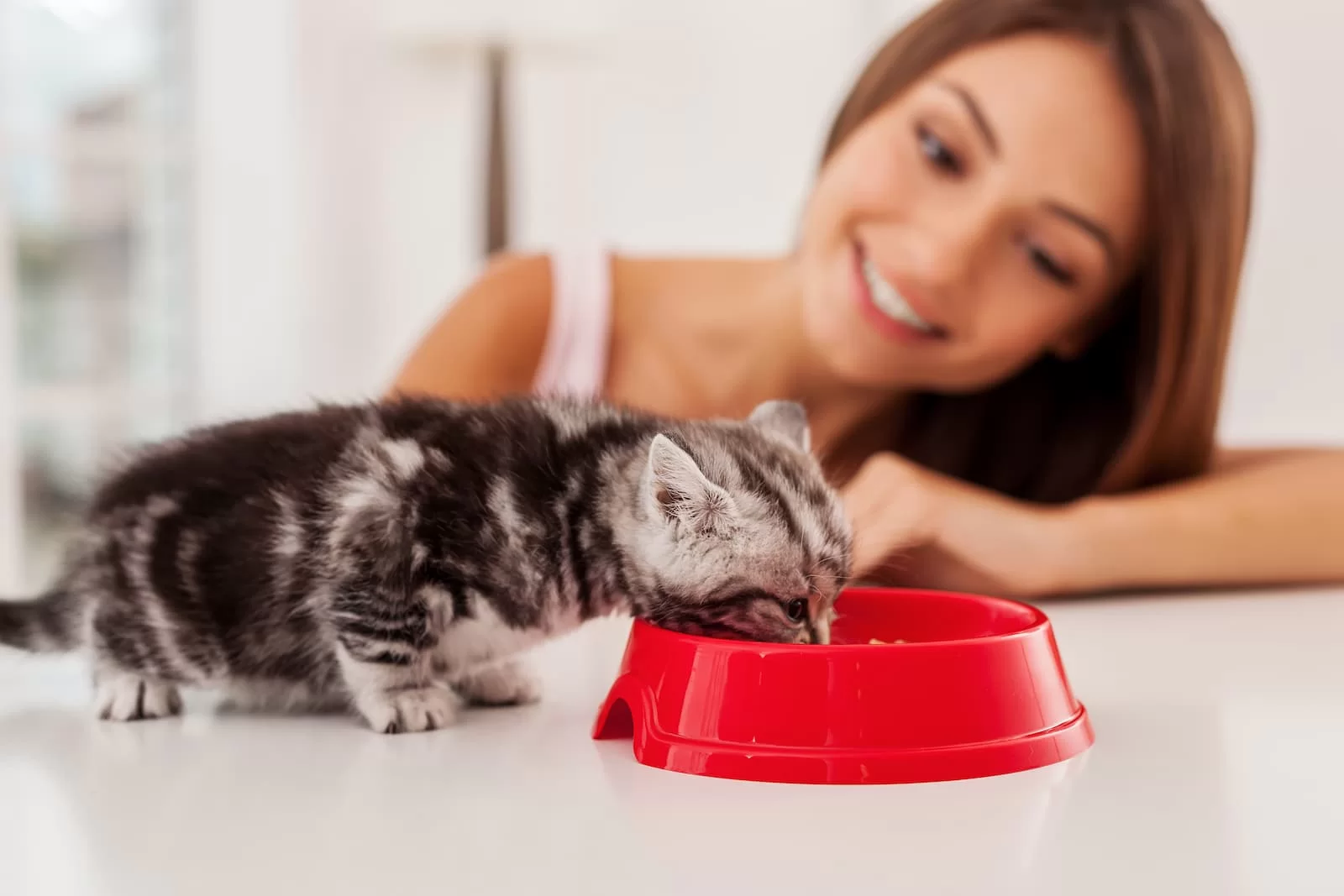 chica mira como gato come comida del comedero