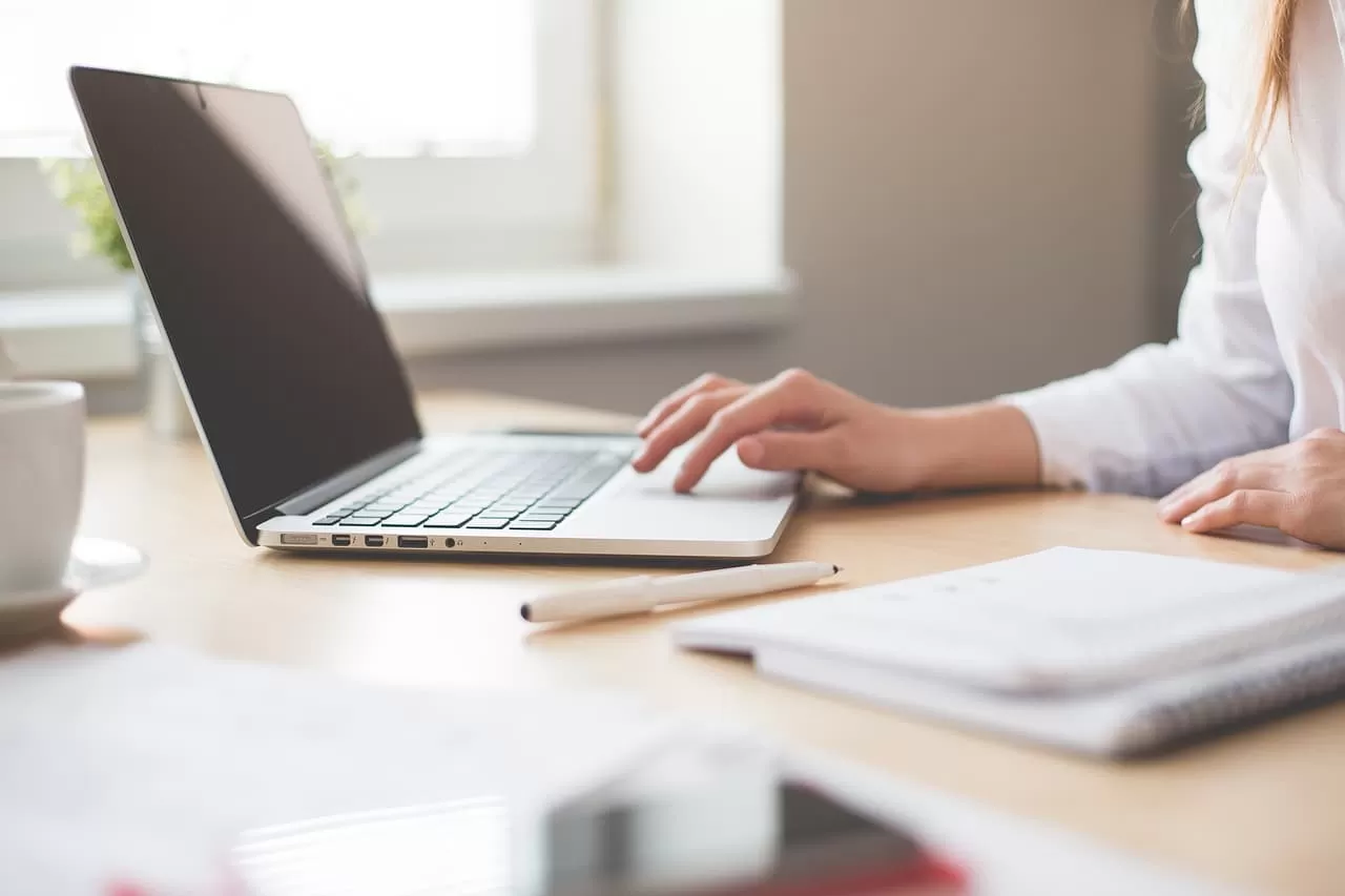 desarrollo web sin programar