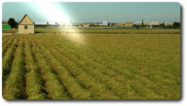 Educación ecológica