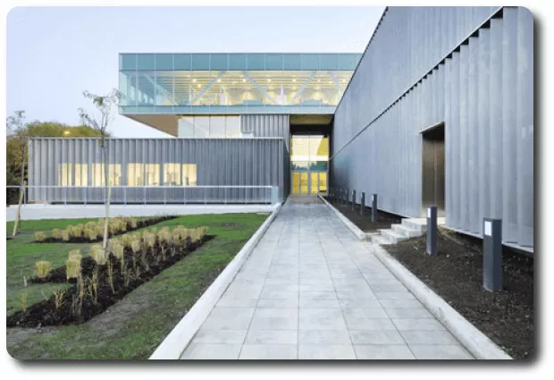 Escoger una universidad