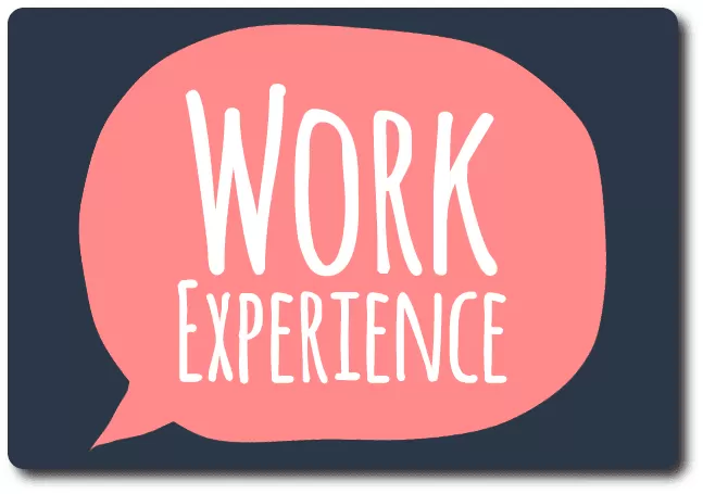 experiencia vida laboral