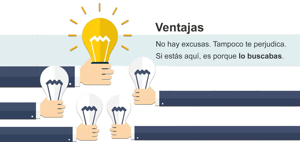 Organización en la universidad
