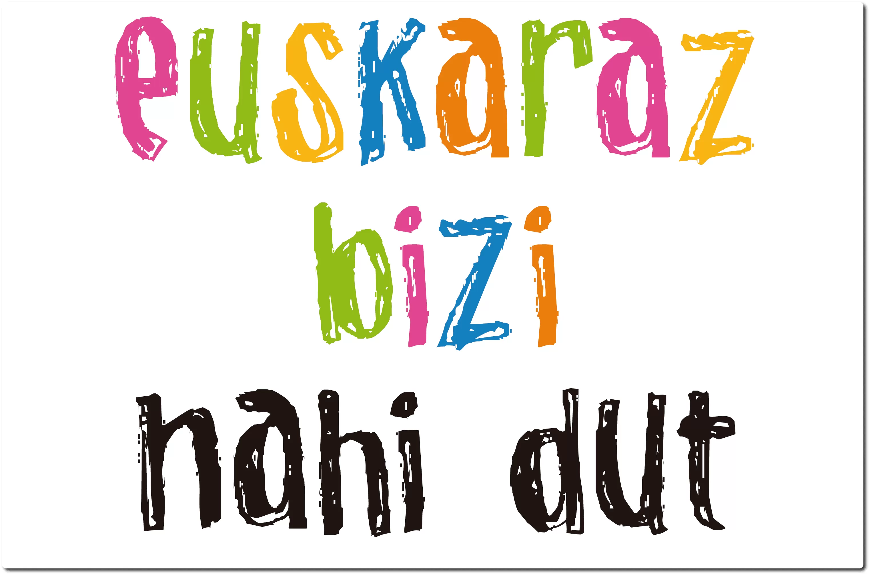 profesor particular de euskera