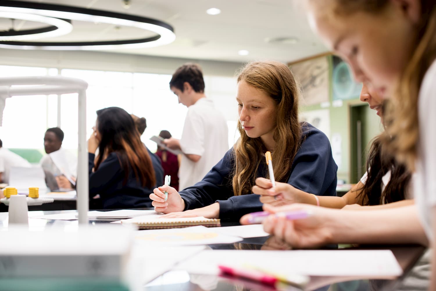 tu proceso de aprendizaje