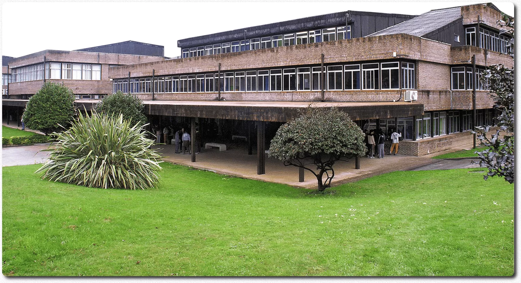 Universidad