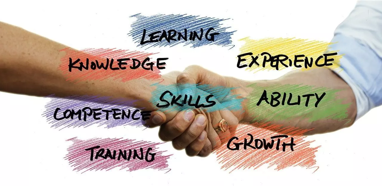 formacion profesional habilidades