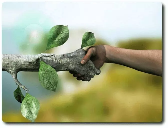 Educación ambiental