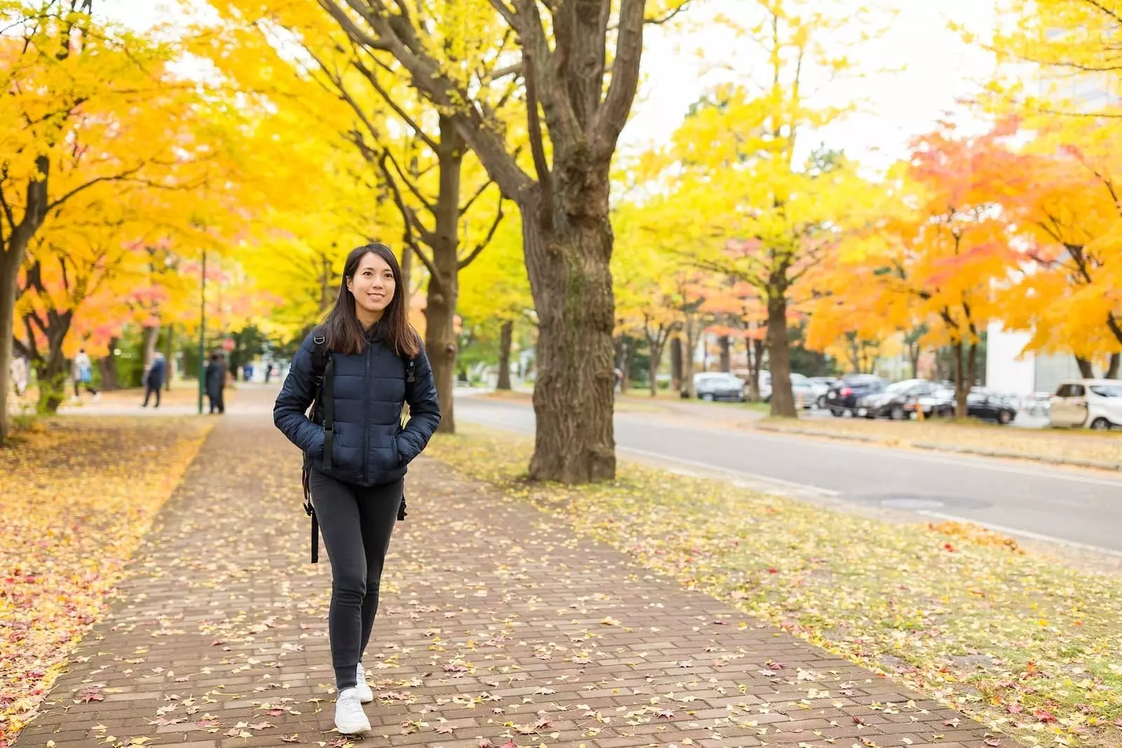 Material escolar para estudiantes universitarios