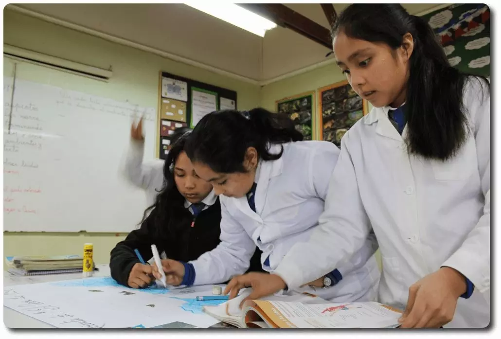 Sistema educativo Latinoamericano