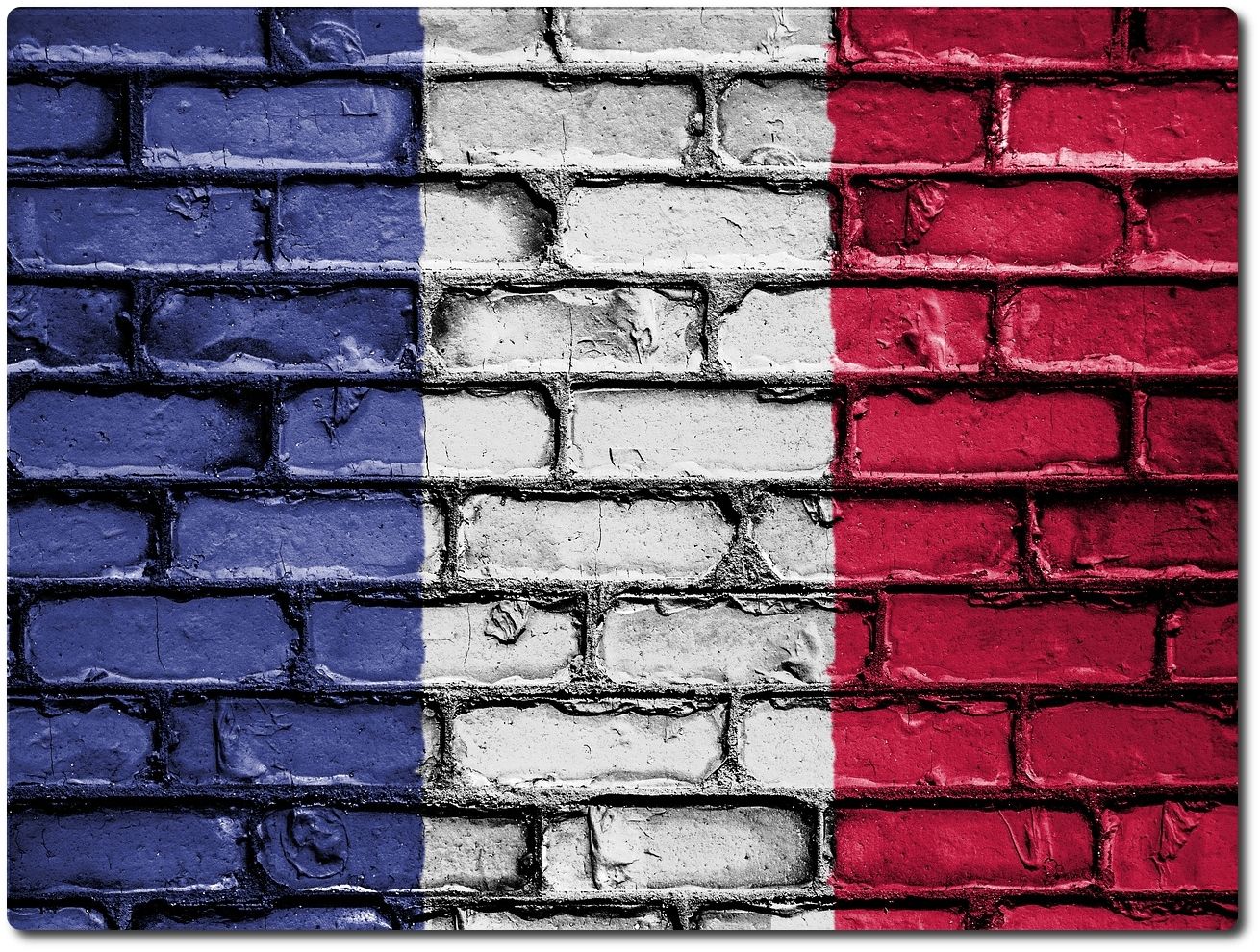 Profesor particular de francés  