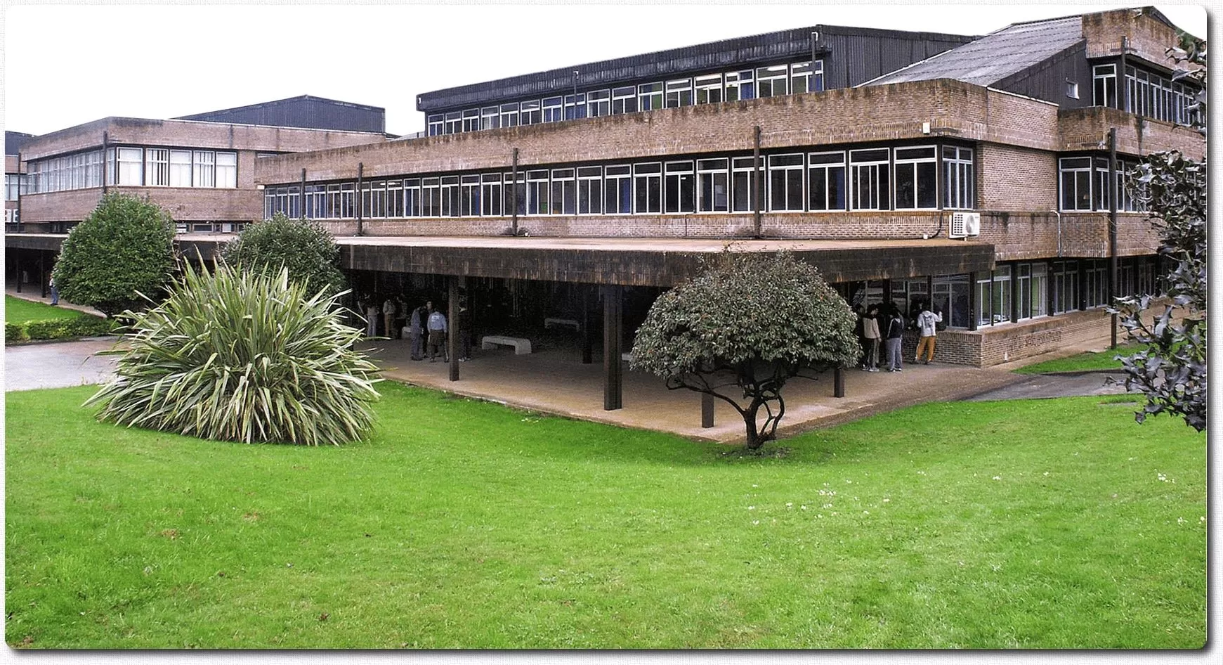 Universidad