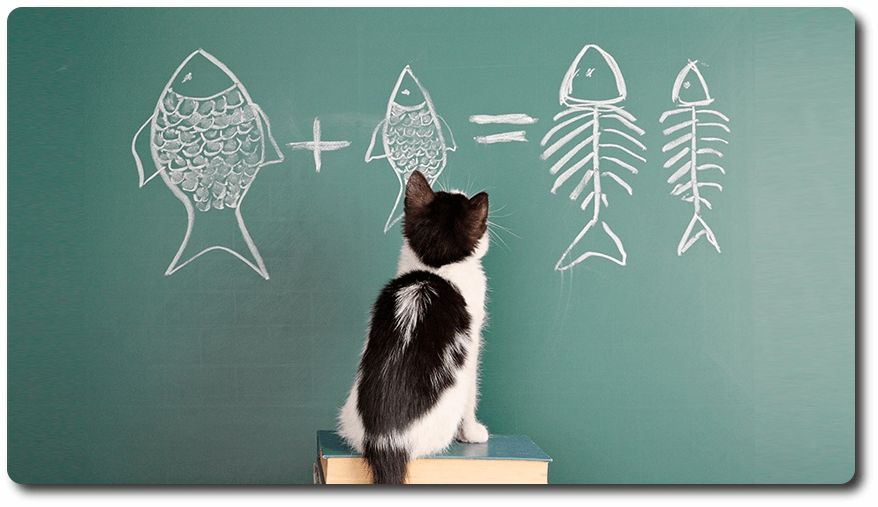 Educación en Física y Matemática