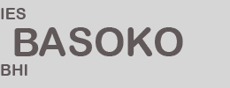IES Basoko BHI logo