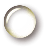 IES Ramón Menéndez Pidal logo