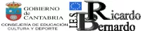 IES Ricardo Bernardo logo