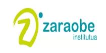 IES Zaraobe BHI logo