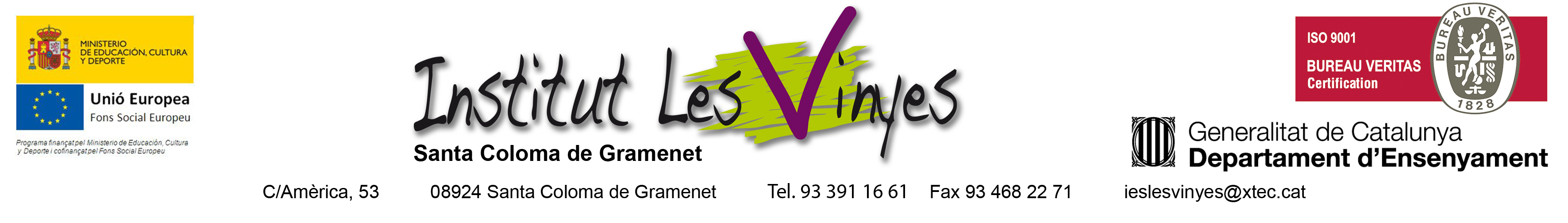 Institut Les Vinyes logo