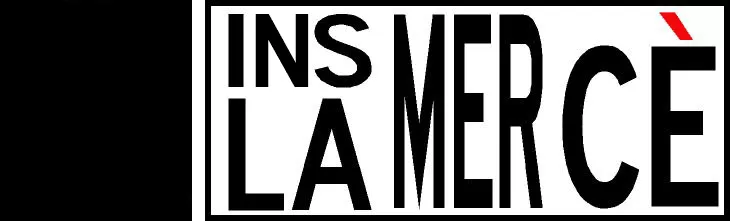 Institut Mare de Déu de la Mercè logo
