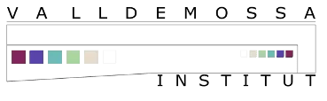 Valldemossa Institut logo