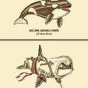 Assassins Creed Asesino    -VotatuProfesor